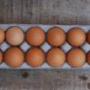 free range eggs