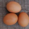 free range eggs